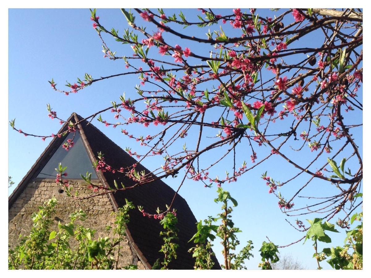 A L'Ombre Du Tilleul Comiac ภายนอก รูปภาพ